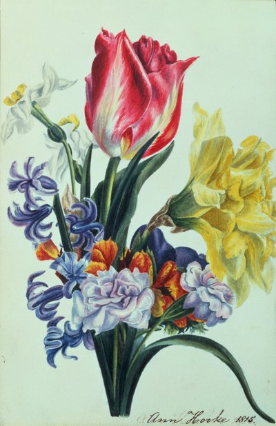 春の花、1815 作： Anne Hooke