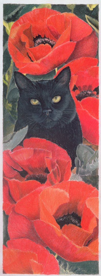 ポピーと黒い猫 作： Anne Robinson