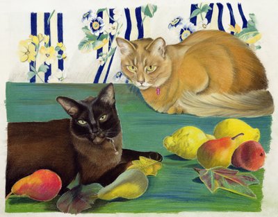果物の猫 作： Anne Robinson