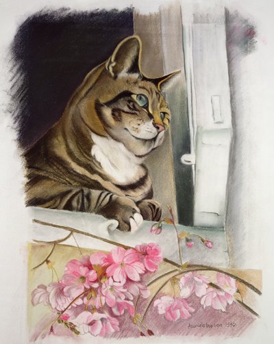ウィンドウでストライプ 作： Anne Robinson