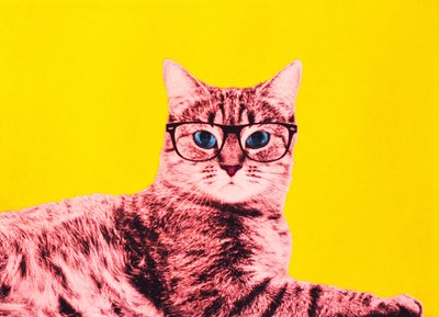 テクニカラーの人生、2017年 作： Anne Storno