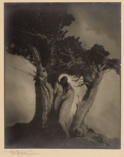 嵐の心臓 作： Anne W. Brigman