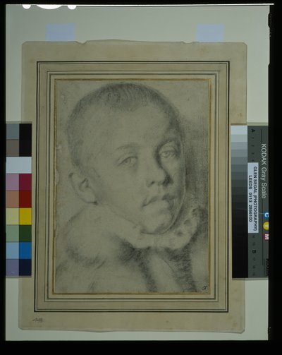 少年の肖像-頭部（紙に黒チョーク、木炭 作： Annibale (follower of) Carracci