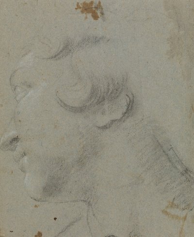 聖カタリナの頭、RCIN 902115 作： Annibale Carracci