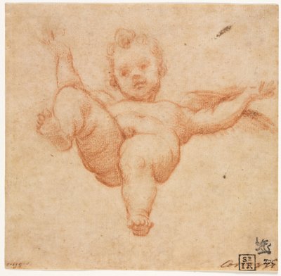 フライングキューピッド、c。 1602。 作： Annibale Carracci