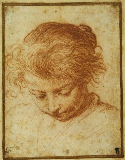 下を向いている少女の頭（クリーム色の紙に赤チョーク 作： Annibale Carracci