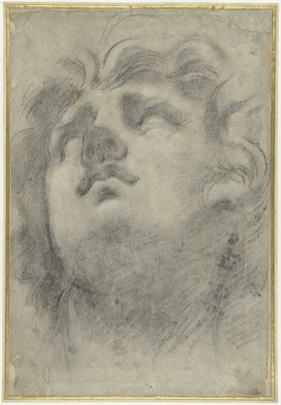 トリトンの直立した頭 作： Annibale Carracci