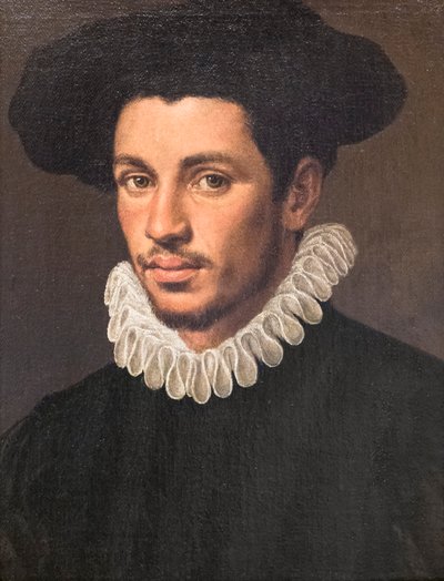 若い男の肖像 作： Annibale Carracci