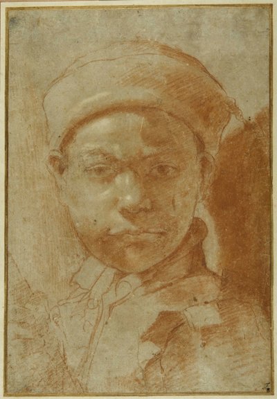 丸い帽子をかぶった胸像の青年（灰色の紙に赤チョークで描かれている 作： Annibale Carracci