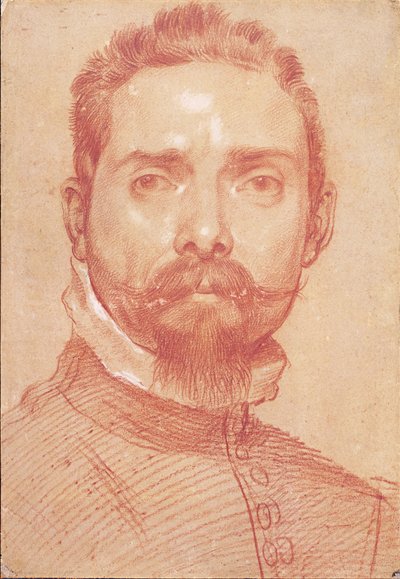 リュート奏者ジュリオマスケローニの肖像、1594年頃 作： Annibale Carracci