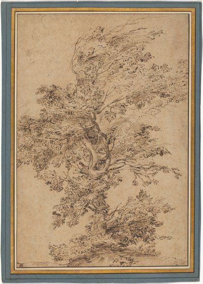 Studie eines Baumes 作： Annibale Carracci