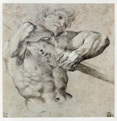 男性像の研究... 作： Annibale Carracci