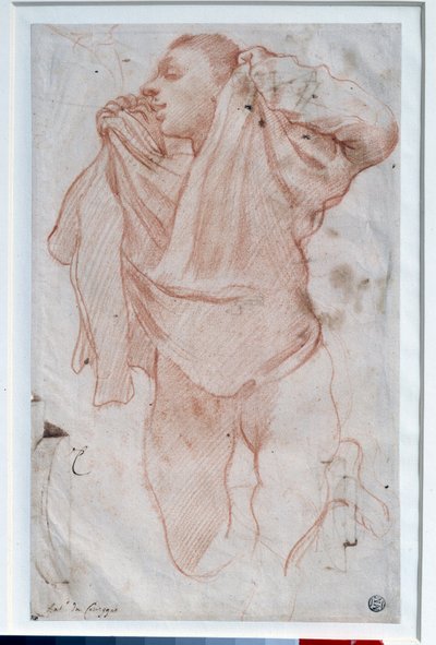シャツを脱ぐ少年 Annibale Carracci dit le Carrache（1560-1609）の「Drawing a la sanguine」を描いたもの 日0.35x0.22 m パリ、ルーヴル美術館 作： Annibale Carracci