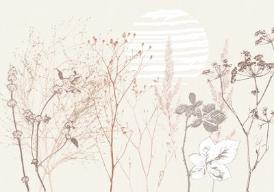 乾燥したメドウサン 作： Annick