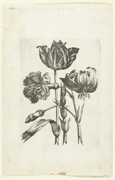 Anjer, tulp en lelie New Flower Icons (連載タイトル) 作： Anonymous