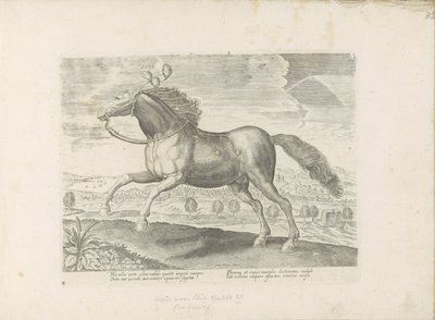 アラビッシュパールド 持ってくる（オブジェクトのタイトル） Paardenrassen uit de Koninklijke Stalen van Don Juan van Oostenrijk (シリーズ タイトル) あらゆる種類の貴族が乗った馬：世界のさまざまな地域で区別された馬の行動が選択された（...）（オブジェクトに関するシリーズタイトル） 作： Anonymous