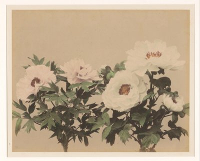 牡丹の花のある静物 作： Anonymous