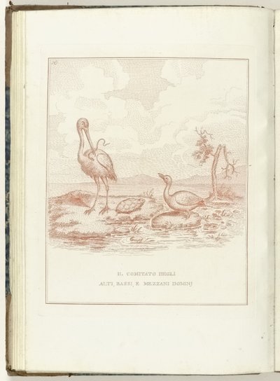 Comité van Hoge、Lage en Middelbare Heerlijkheden、1795 上、下、およびメザニドミニの委員会（オブジェクトのタイトル） Hollandia Regenerata (Italiaanse kopie) (シリーズタイトル) オランダの再生 : 再生されたすべての人々の鏡 (シリーズ t 作： Anonymous