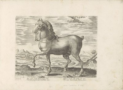デュイット・パールド ドイツの馬 (オブジェクトのタイトル) Paardenrassen uit de Koninklijke Stalen van Don Juan van Oostenrijk (シリーズ タイトル) あらゆる種類の貴族が乗った馬：世界のさまざまな地域で区別された馬の行動が選択されました（...）（obのシリーズタイトル 作： Anonymous