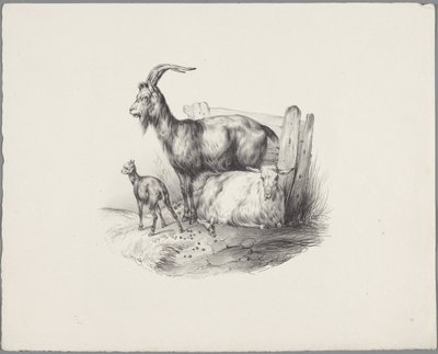 ヤギ、ヤギ、子羊 Six Little Animal Studies (シリーズタイトル) Six Little Beast Studies (オブジェクトに関するシリーズ タイトル) 作： Anonymous