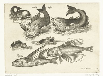 イルカやピットフィッシュなどの素晴らしい水生動物 Libelivs varia Genera piscium complectens (シリーズタイトル) 淡水魚・海魚・カエル・甲殻類・海の生き物（連載タイトル） 作： Anonymous