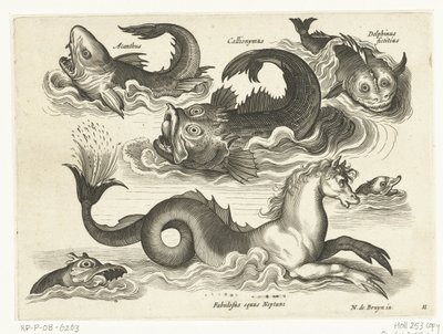 タツノオトシゴを含む素晴らしい水生動物 Libelivs varia Genera piscium complectens (シリーズタイトル) 淡水魚・海魚・カエル・甲殻類・海の生き物（連載タイトル） 作： Anonymous