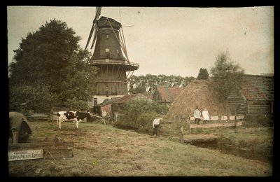 農場の風景、風車、つながれた牛、ポーズをとっている子供たち、オランダ 作： Anonymous