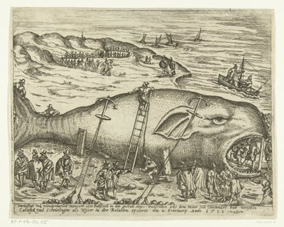 1598 年、バークヘイ近郊の座礁したウォルビス Warhafttigh And Wonderful Monster または Pottfisch クジラの形をしたもので、1598 年 2 月 4 日の関連 ercleret で、メーアがワイターとして Catwyck と Schevelingen の間で沈没したものです (tit 作： Anonymous