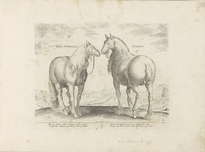 Hengst en merrie uit ローマ Roman Matronal Horse (オブジェクトのタイトル) Paardenrassen uit de Koninklijke Stalen van Don Juan van Oostenrijk (シリーズ タイトル) 世界各地から選りすぐられた馬たちの行動が際立つ、あらゆる貴族の馬（ 作： Anonymous
