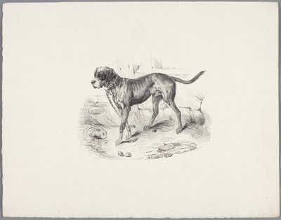 鎖につながれた犬 Six Little Animal Studies (シリーズタイトル) Six Little Beast Studies (オブジェクトに関するシリーズ タイトル) 作： Anonymous