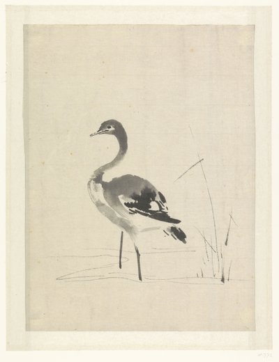 ツルの幼鳥 作： Anonymous