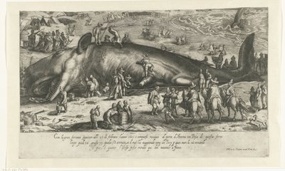 1601 年にアンコーナに立つクジラとして、1598 年にバークヘイで座礁したクジラのコピー Ritratto d