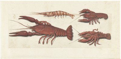 手長海老、ザリガニ 2 匹、エビ ロンバードアルバム（シリーズタイトル） 作： Anonymous