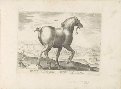 Paard uit Saksen サクソ (オブジェクトのタイトル) Paardenrassen uit de Koninklijke Stalen van Don Juan van Oostenrijk (シリーズ タイトル) あらゆる種類の貴族が乗った馬：世界のさまざまな地域で区別された馬の行動が選択された（...）（オブジェクトに関するシリーズタイトル） 作： Anonymous