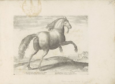 Paard uit Spanje スペイン語 (オブジェクトのタイトル) Paardenrassen uit de Koninklijke Stalen van Don Juan van Oostenrijk (シリーズ タイトル) あらゆる種類の貴族が乗っている馬：世界のさまざまな地域から区別された馬の行動が選択されました（...）（objのシリーズタイトル 作： Anonymous