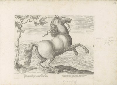 Paard uit Toscane トスカーナ (オブジェクトのタイトル) あらゆる種類の貴族が乗った馬：世界のさまざまな地域で区別された馬の行動が選択された（...）（オブジェクトに関するシリーズタイトル） 作： Anonymous