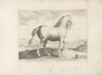 Paard uit Vlaanderen フランダース (オブジェクトのタイトル) Paardenrassen uit de Koninklijke Stalen van Don Juan van Oostenrijk (シリーズ タイトル) ありとあらゆる貴族が乗った馬 世界各地の選りすぐりの馬のふるまい（…）（連載タイトル 作： Anonymous