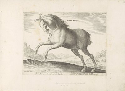 Paard van het ras Royal Horse (de Koninklijke) ロイヤル ホース (オブジェクトのタイトル) Paardenrassen uit de Koninklijke Stalen van Don Juan van Oostenrijk (シリーズ タイトル) あらゆる種類の貴族が乗る馬：世界各地の馬のマナーで区別される 作： Anonymous