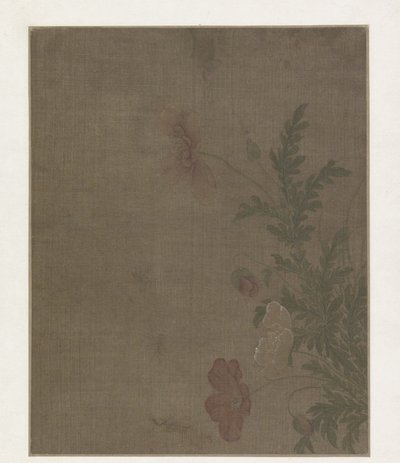 ケシの花 作： Anonymous