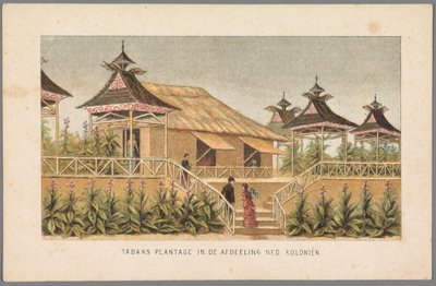1883年、アムステルダムで開催された万国博覧会でのオランダ植民地のタバコ農園 オランダ部門のタバコ農園: 植民地 (オブジェクトのタイトル) 1883 年のアムステルダムの思い出 (オブジェクトのシリーズ タイトル) 作： Anonymous