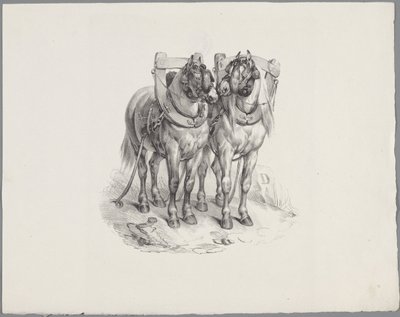 ハーネスを付けられた 2 頭の馬 Six Little Animal Studies (シリーズタイトル) Six Little Beast Studies (オブジェクトに関するシリーズ タイトル) 作： Anonymous