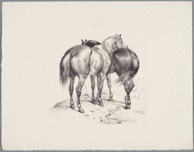 後ろから見た2頭の馬 Six Little Animal Studies (シリーズタイトル) Six Little Beast Studies (オブジェクトに関するシリーズ タイトル) 作： Anonymous