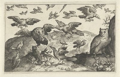他の鳥に襲われた獲物を持つフクロウ 鳥と虫（連載タイトル） 作： Anonymous