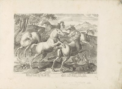 Vechtende paarden met een onder de voet gelopen paard あらゆる種類の貴族が乗った馬：世界のさまざまな地域で区別された馬の行動が選択された（...）（オブジェクトに関するシリーズタイトル） 作： Anonymous