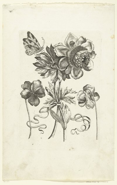 2 つのパンジーを含む 4 つの花 Novae Florum Icones (シリーズタイトル) 作： Anonymous