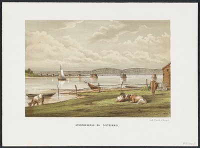 ザルトボメル近くのワール橋、1869年 Zaltbommel の鉄道橋 (オブジェクトのタイトル) オランダの主要鉄道橋（シリーズタイトル） 作： Anonymous