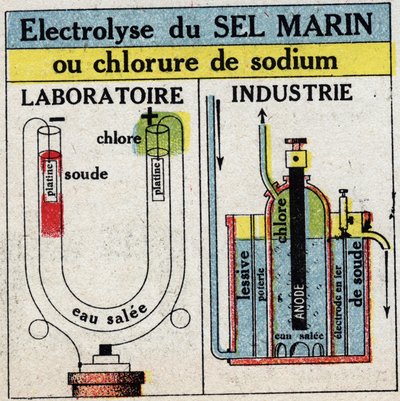 電気化学：海塩や塩化ナトリウムの電気分解。1925年の匿名のイラスト。個人蔵。 作： Anonymous Anonymous