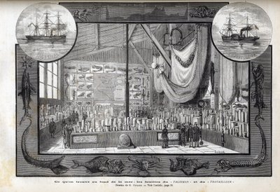 パリ自然史博物館でのクルーズ中に形成されたコレクションの展示 - 1880年に行われたワーカー号とタリスマン号の科学的遠征 作： Anonymous Anonymous