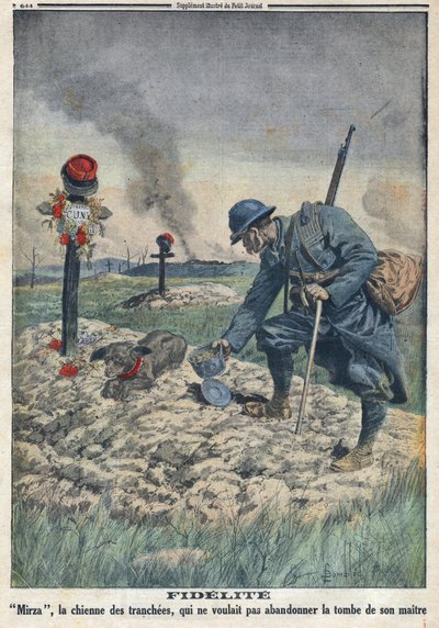 第一次世界大戦1914-1918（第14次世界大戦-第18次世界大戦）。塹壕の中で死んだ主人の墓を捨てようとしない犬の姿。Le Petite Journal", on 10/09/1916に掲載。個人蔵 作： Anonymous Anonymous