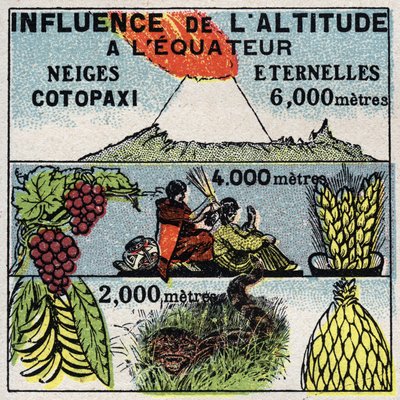 気象学：高度が気候に与える影響。1925年の匿名のイラスト。個人蔵。 作： Anonymous Anonymous